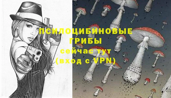 apvp Зеленодольск