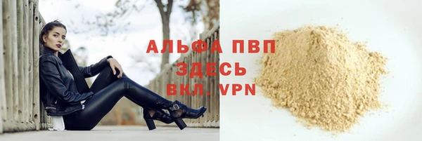 стафф Пионерский