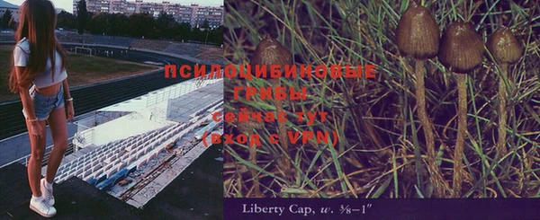 дмт Зеленокумск