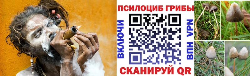 hydra ссылки Красный Сулин Галлюциногенные грибы MAGIC MUSHROOMS